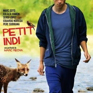 La locandina di Petit indi