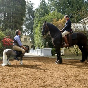 Peter Serafinowicz e Will Arnett nel pilota di Running Wilde
