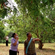 Una scena del film Uncle Boonmee Who Can Recall His Past Lives