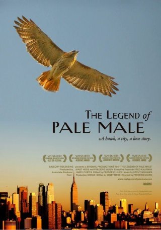 La locandina di The Legend of Pale Male