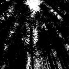 Una sequenza del film Kill Me Please di Olias Barco