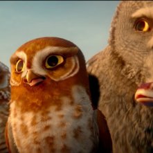 Digger, Gylfie, Twilight e la signora Plithiver ne Il regno di Ga'Hoole: la leggenda dei guardiani