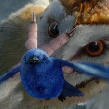 Il fratello cattivo Kludd in Legend of the Guardians