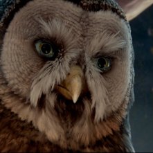 Il saggio Allomere nel film Il regno di Ga'Hoole da Legend of the Guardians