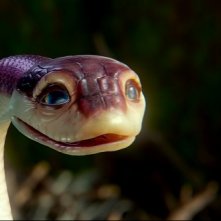 La tata Plithiver nel film Legend of the Guardians