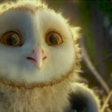 La tenera Eglantine in Legend of the Guardians