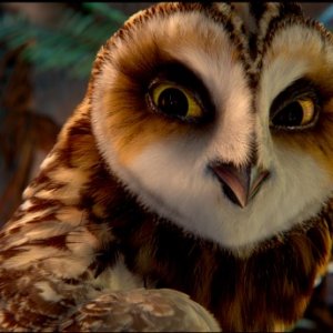 Otulissa nel film Il regno di Ga'Hoole da Legend of the Guardians