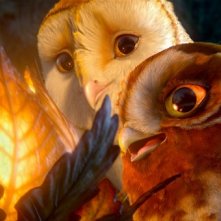 Soren e Gylfie ne Il regno di Ga'Hoole: la leggenda dei guardiani