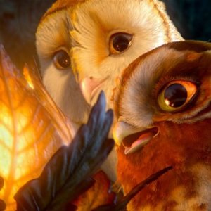 Soren e Gylfie ne Il regno di Ga'Hoole: la leggenda dei guardiani