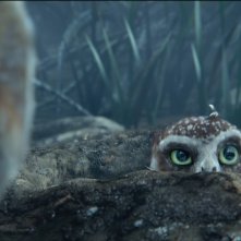 Un'immagine dal fantasy Il regno di Ga'Hoole: la leggenda dei guardiani