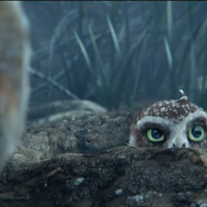 Un'immagine dal fantasy Il regno di Ga'Hoole: la leggenda dei guardiani