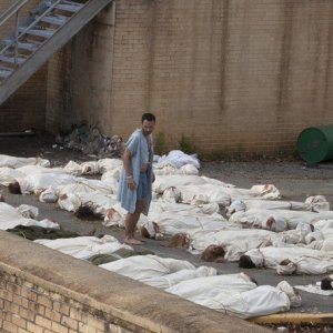Andrew Lincoln in un momento dell'episodio Days Gone Bye di The Walking Dead