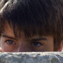 Un bel primo piano di Luigi Ciardo nel film L'estate di Martino del 2010