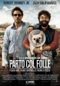 Locandina italiana di Parto col folle