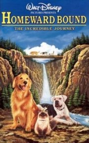 La locandina di In fuga a quattro zampe