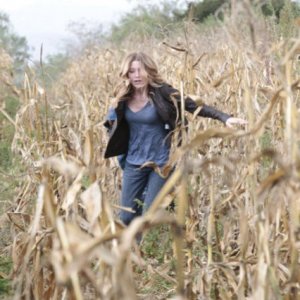 Sarah Roemer in una scena dell'episodio For The Good of Our Country di The Event
