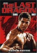 La locandina di L'ultimo drago