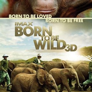 La locandina di Born to Be Wild