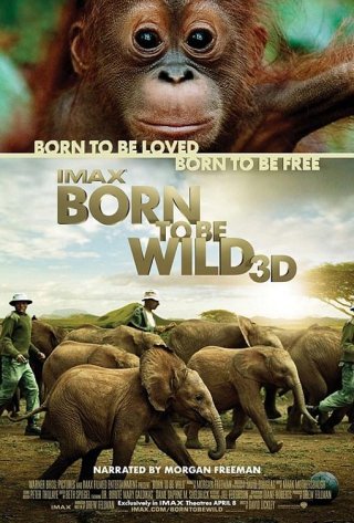 La locandina di Born to Be Wild