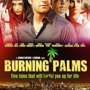 Nuovo poster per Burning Palms