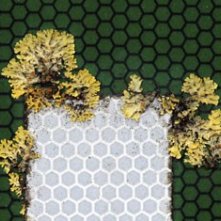 Un'immagine significativa del documentario Robinson in Ruins