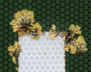 Un'immagine significativa del documentario Robinson in Ruins