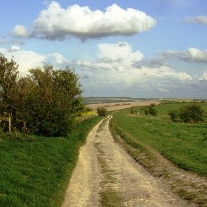 Un paesaggio inglese immortalato nel documentario Robinson in Ruins