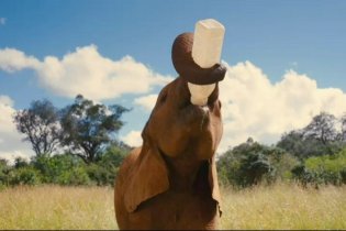 Born to Be Wild 3D - Trailer