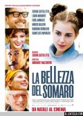 La locandina di La bellezza del somaro