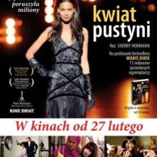 La locandina di Desert Flower