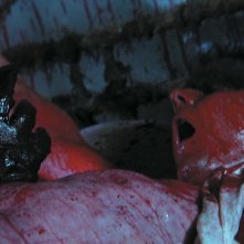 Darren McIlroy in una truculenta immagine dell'horror The Scar Crow