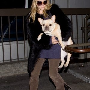 Ashley Olsen porta un grosso cane con lei