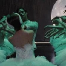 Un Momento Del Balletto Al Centro Dela Storia Di Black Swan 185218