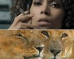Frankie and Alice, African Cats e gli altri trailer della settimana
