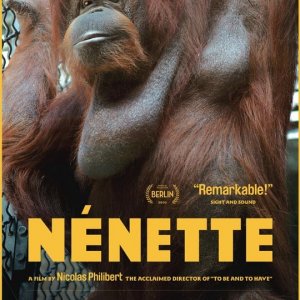 La locandina di Nénette