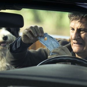 Giorgio Tirabassi è Valerio nella fiction Un cane per due