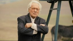 La bellezza del somaro - Clip 'Armando'