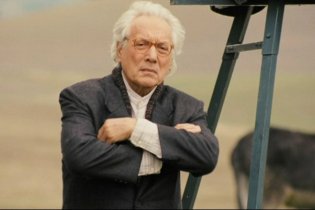 La bellezza del somaro - Clip 'Armando'