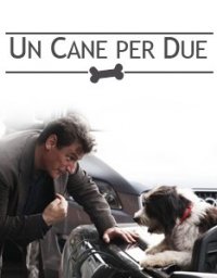 Locandina di Un cane per due
