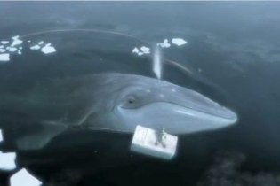 Le avventure di Sammy - Videorecensione