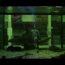 Un'immagine de L'elefante occupa spazio