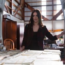 Janet Montgomery nell'episodio Dead Head di Human Target