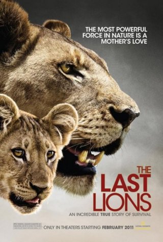 La locandina di The Last Lions
