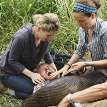 Valerie Cruz, Jessica Oyelowo, Adam Campbell, Caroline Dhavernas e Martin Henderson nell'episodio Smile. Don't Kill Anyone di Off the Map