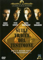 La locandina di Sulle tracce del testimone