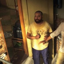 Zach Galifianakis, Bradley Cooper, Ed Helms e una scimmia in Una notte da leoni 2