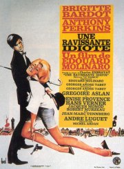 La locandina di Un'adorabile idiota