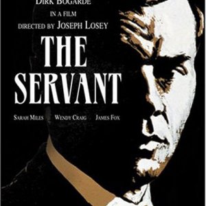 Locandina de Il servo