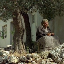 Una immagine del film La donna che canta