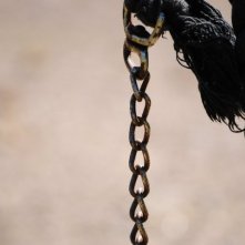 Una scena di She Monkeys (Apflickorna):